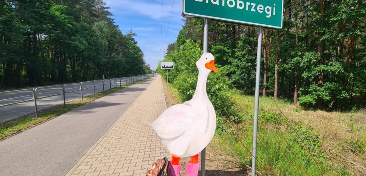 Koalicja dla Młodych nie próżnuje - sprawdźcie, co udało się zrobić w czerwcu