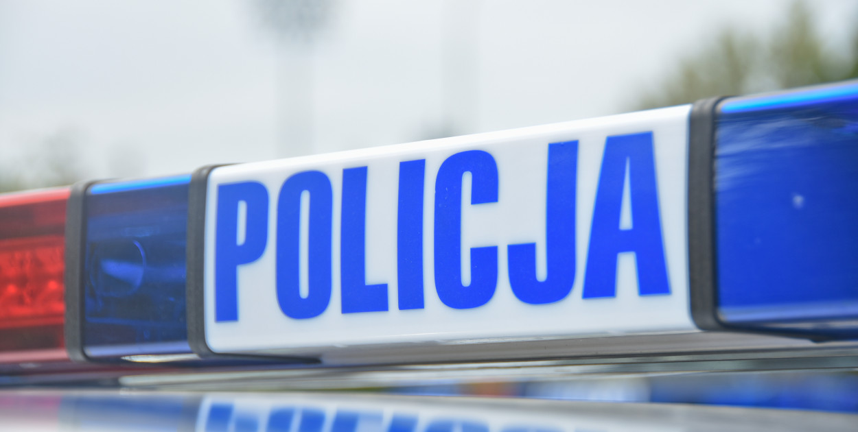 Fot. Michał Osiecki / Sieć Portali