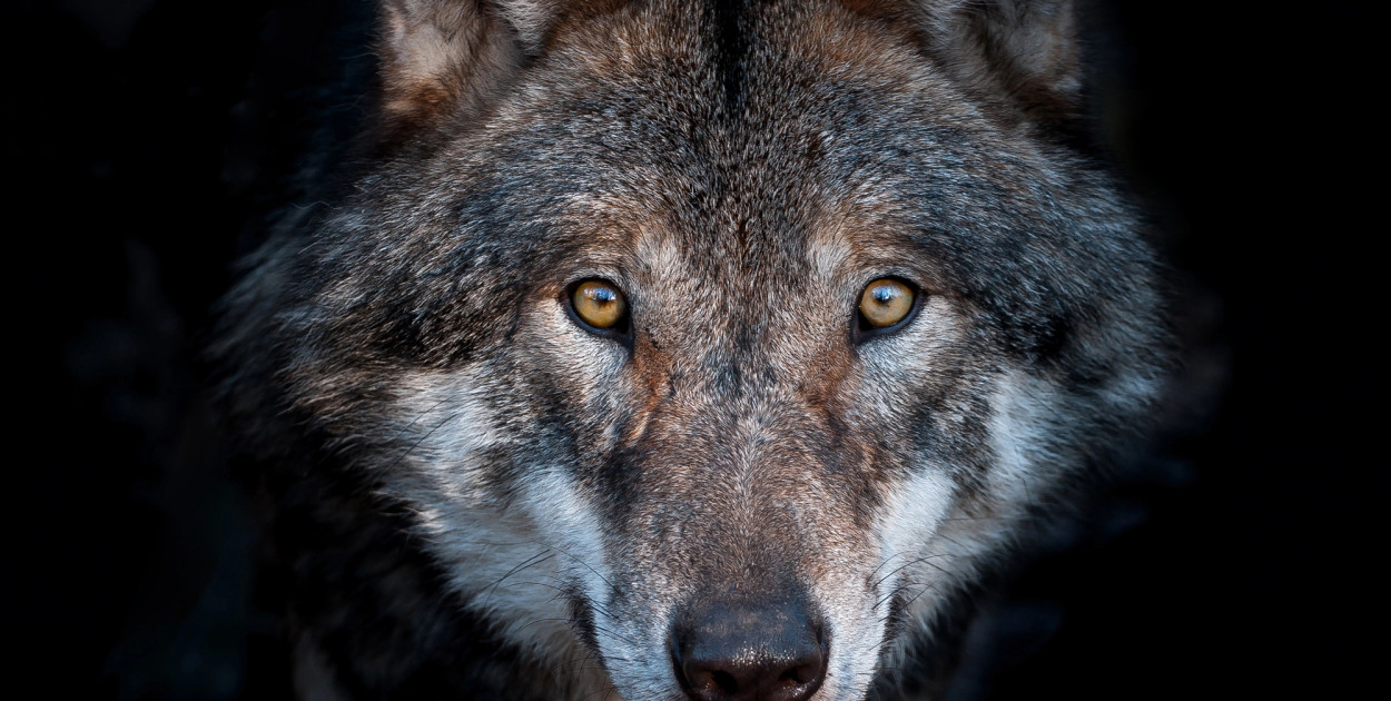 Fot. Depositphotos
