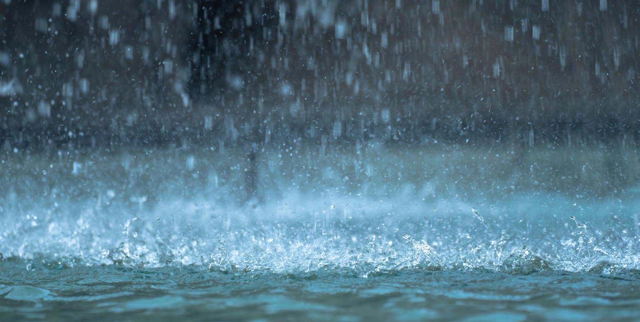 Fot. Depositphotos