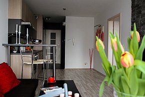 Rewolucja w wynajmie na doby. Nadchodzi koniec "wolnej amerykanki"-8482