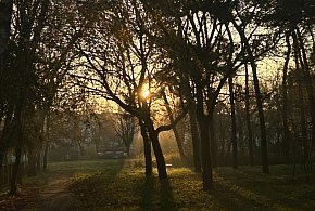 Nadchodzi najkrótszy dzień w 2025 roku. Sprawdź, kiedy przypadnie-8584