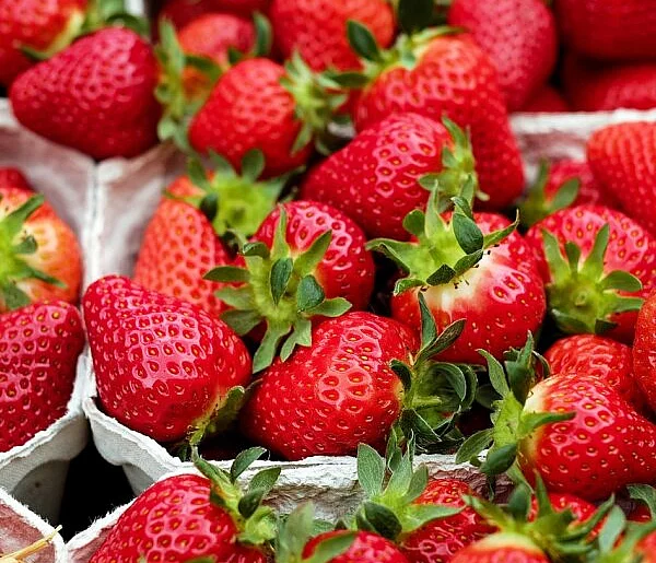 Tak oszukują klientów na truskawkach. Uważaj przy zakupach