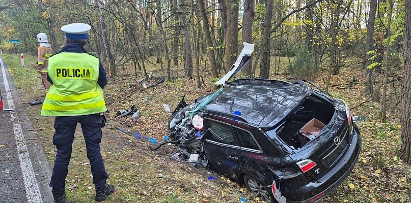 Tragiczny wypadek pod Wyśmierzycami. Kierowca zginął na miejscu - 8258