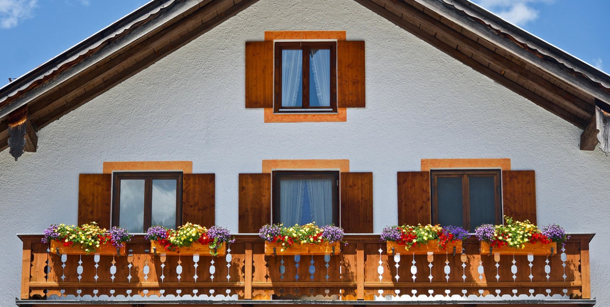 Czym wyróżnia się supertunia vista i jak o nią dbać?